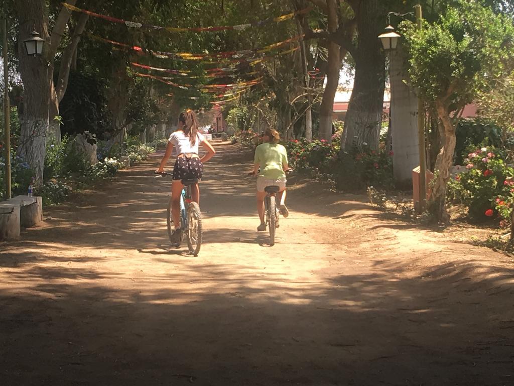 לינה וארוחת בוקר Ica Adventures מראה חיצוני תמונה